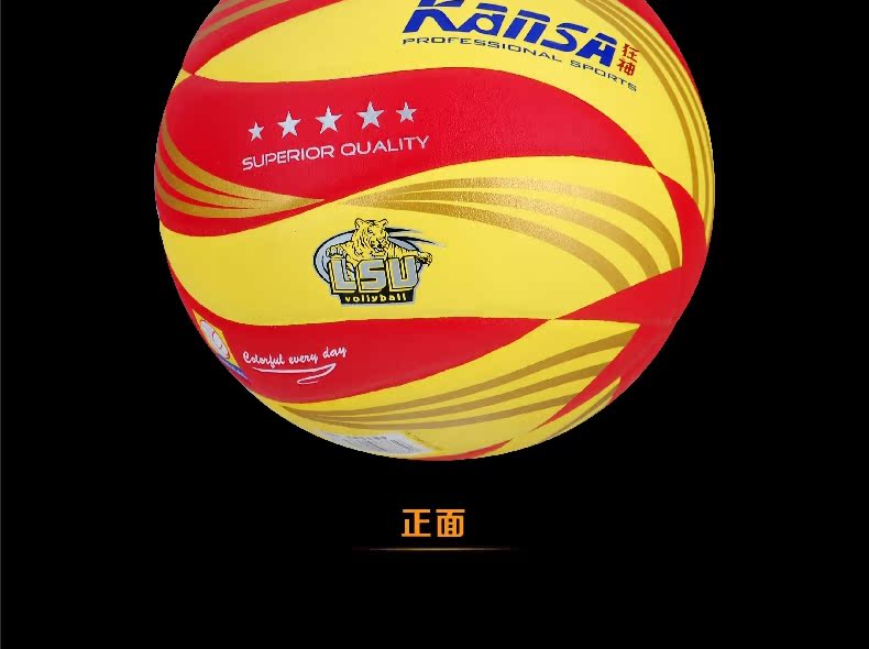 Ballon de volley - Ref 2008207 Image 21