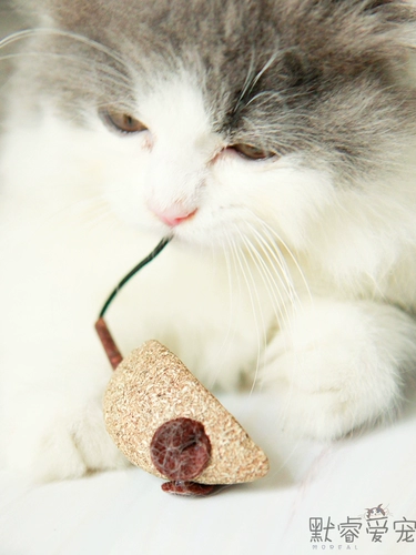 Прорезыватель, мятная игрушка для правильного прикуса, кот