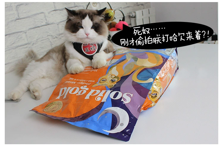 Thức ăn cho mèo Su Li Gao Vàng SolidGold Thức ăn cho mèo Không có thung lũng Thức ăn cho mèo tự nhiên 12 Pound Mèo thành thức ăn cho mèo - Cat Staples