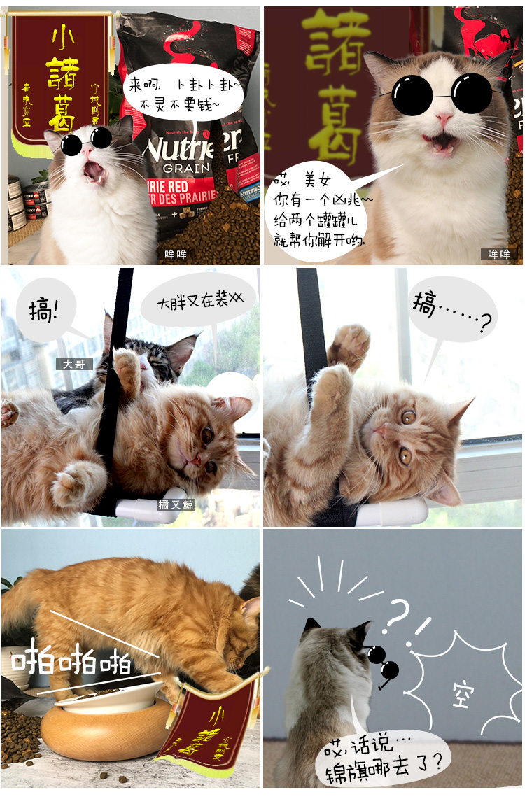 Nutris Cat Food Hagen Nutrience Black Diamond Nhập khẩu Cat Food Thực phẩm tự nhiên Cat Food Red Meat 11 lbs Freeze Cat Food - Cat Staples thức ăn cho mèo con