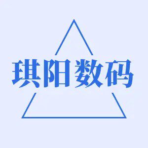 琪阳数码电子的LOGO