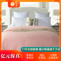 Royal Jin Mau Jin Jiaying cotton 100% Mulberry silk Superior quality Superior silk] Four seasons quilt close-fitting skin quilt