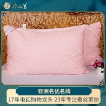 Jin Jiaying full silk pillow 100%mulberry silk filament cotton pillow Adult pillow Single pillow Silk pillow comfort