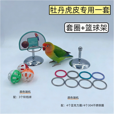 Small bird, tiger-skin, peony-specific toy, ring-toss, basketball shooting, parrot training supplies