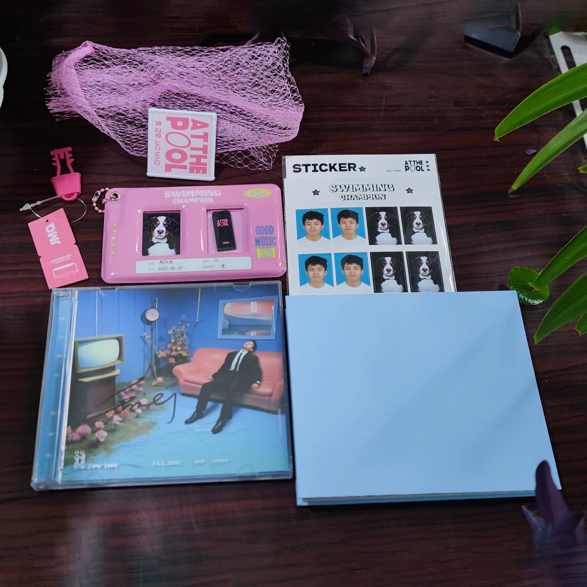 Подлинный альбом Jiao McChole для плавательного бассейна, чистый CD+USB+тексты, фото, автографированная версия