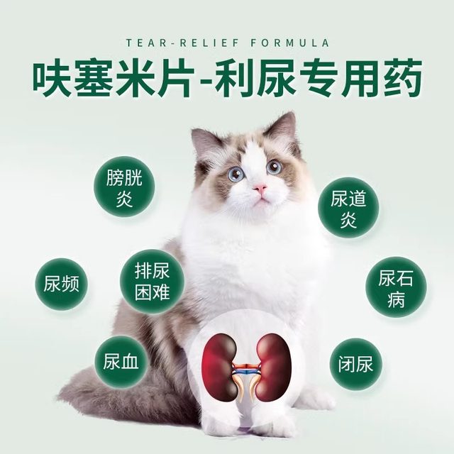 ແມວທີ່ມີ anuria, hematuria, ຢາປັດສະວະ, diuretics ເພື່ອບັນເທົາກ້ອນຫີນ, ຫມາທີ່ມີ renal failure, cystitis, Shi Ang, ຍ່ຽວອັກເສບ, ແມວທີ່ມີ Shu Chang