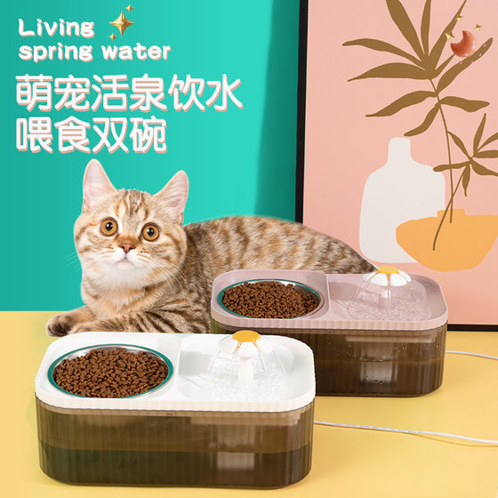 Double bowl of high -value cat utensils, water dispensers, waterware, electric waterware, pet smart feeding equipment cat rice bowl