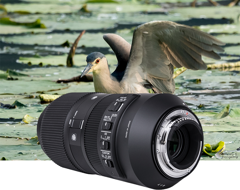 Sigma / Sigma 100-400mm F5-6.3 Hệ điều hành Chống rung máy ảnh Full-frame DSLR ống kính tele tele