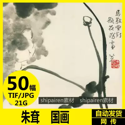 Zhu Dian Chinese painting high-definition picture Ming and Qing eight mountains people ink freehand flowers and birds landscape decorative painting core material