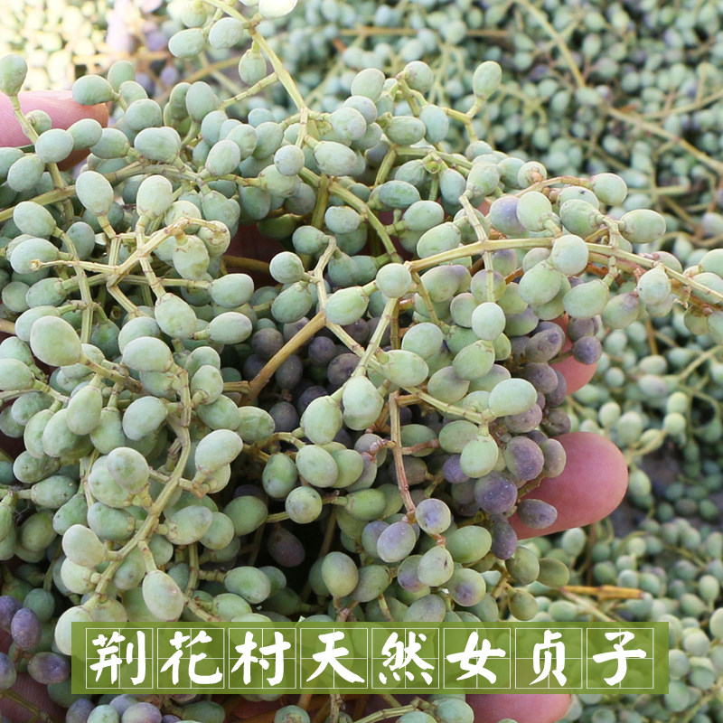 立冬到啦！这些超有料的习俗你都知道吗？建议收藏！