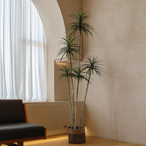 Fake green pot view living room in the pot plant silent silk tree furnished piece of large dragon blood tree bionic plant