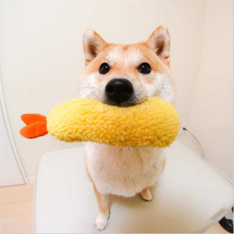 Ins Day Women's fried shrimp BB called foreign trade cute pet vocal toy Medium dog pooch yellow plush toy-Taobao