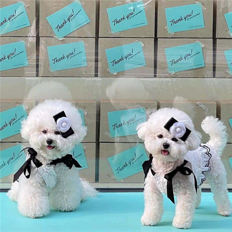 INS NEW SOUTH KOREA Small Fragrant Wind Pendant With Skirt pooch Cat Bibi Bear Malzis Short Strap Pet Clothes-Taobao