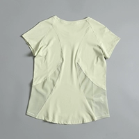 Монетный зеленый цвет 036