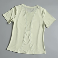 Авокадо Грин 819