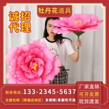 12 -Year -Sold Shop более 20 цветов