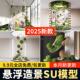Suspended Landscaping Su Model Art Suspension Installation Landscape Plant Sculpture Indoor Courtyard Small-Scale Design Sketchup