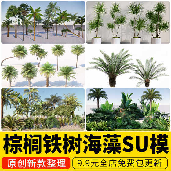 Palm, Ironwood Tree, Seaweed, Tropical Plants, King Coconut Tree, Areca Palm, Dragon Blood Tree, Sketchup Model