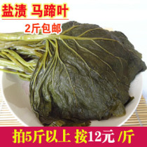 Yanbian specialties Salted Horseshoe Leaf 500g Northeast Yanbian Horseshoe Leaf Korean Pickles 2 Pickles