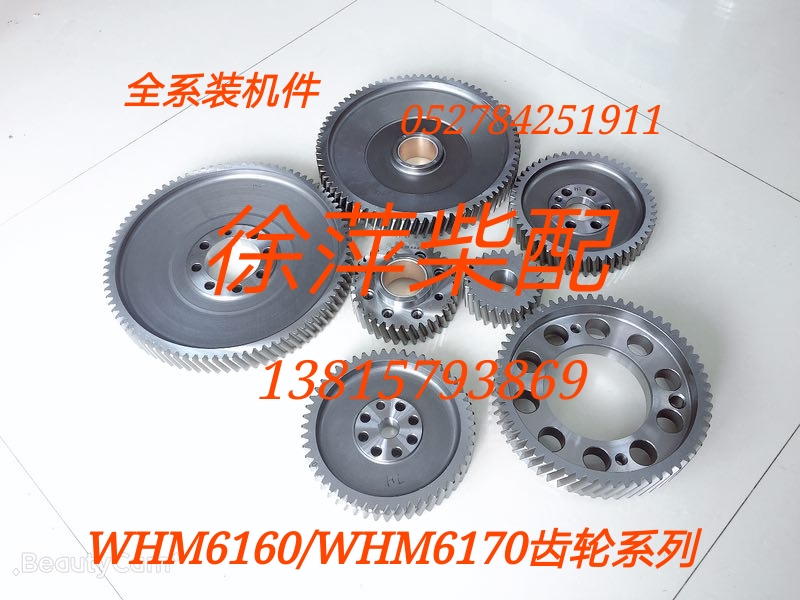 Weifang 6170 Gear 8170 Curved Wheel Gear WHM6170 Large Idler Wheel WHM6160 Oil Pump Drive Gear