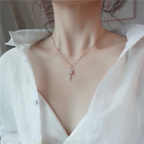 Titanium steel does not fade lock heart key pendant light luxury necklace female choker ins tide Net red neck chain jewelry