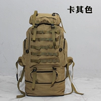 Canvas Khaki Color