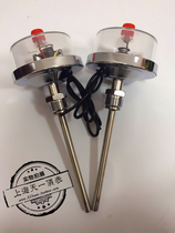 WSSX-401 Electric contact bimetallic thermometer Electric contact thermometer 10VA 30VA output axial