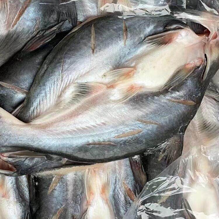 开背巴沙鱼腌制,湄公鱼凌波鱼无刺烤鱼,如何选择?🐟-巴沙鱼-淘宝好物网