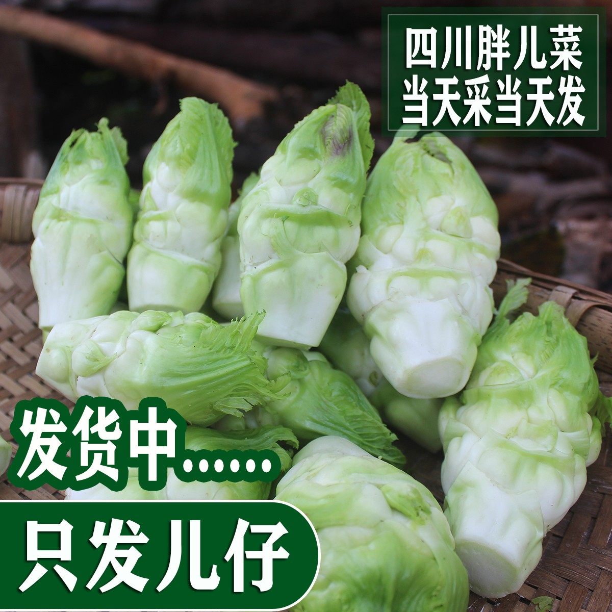 家的味道一德阳乡村的LOGO