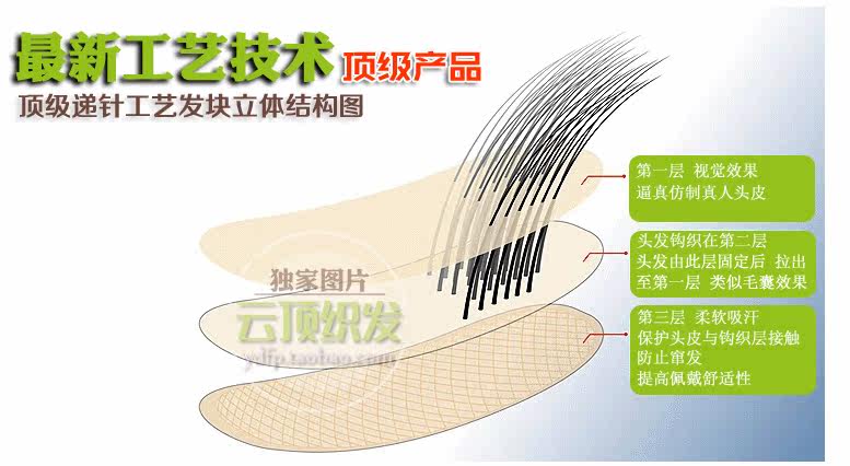 Extension mèches - Ref 219146 Image 11