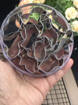 Animal pattern stainless steel 10-piece biscuit mold