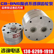 CBA-B10 CB-BNS4 BNS6 stainless steel acid and alkali resistant pump feed equipment gear pump beverage delivery pump