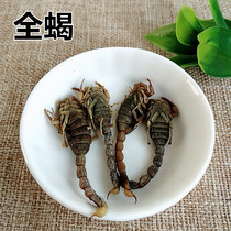 Full Scorpion Fitter Scorpion Scorpion Full Worm Dry Goods Brine Scorpion 50 gr Brine Scorpion Surface No Salt Grain