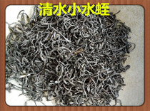 Wild Clean Water Medical Leech Leech Leech Leech Leech Leech Leech Dry Goods Dry Goods 250g Leech Powder Batch Sundry No Salt No Alum