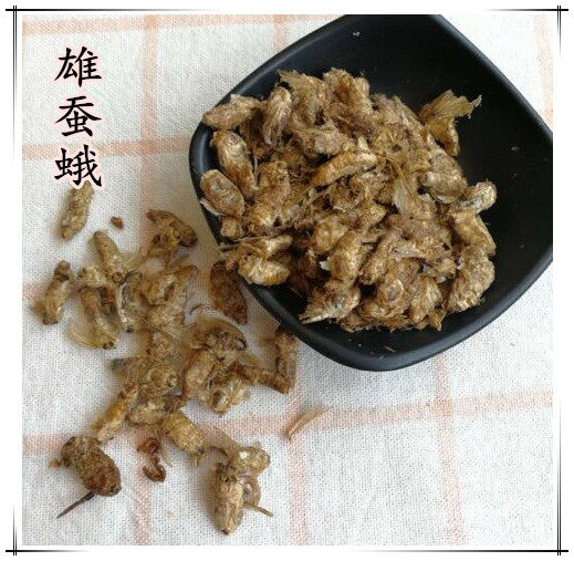 Male silkworm moth new goods original silkworm moth silkworm moth pure male male silkworm moth powder male silkworm moth wine material 500g54