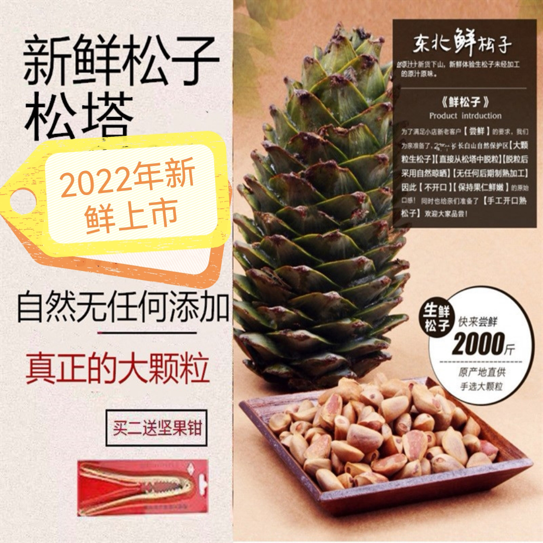 Large particles northeast Changbai Mountain fresh wild pine pine pine pine fruit unprocessed snack