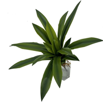 High simulation feel soft glue Cymbidium leaves large green plants landscaping potted plants indoor window decoration floral art