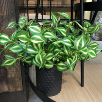 Simulation green plant with multi-fork red and green eyebrow leaves with fruit plant engineering landscape decoration leaves green plant wall with leaves