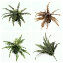 Simulation of Persian Fern grass fern green autumn fish tail wave grass green plant wall insert flower window landscape plant