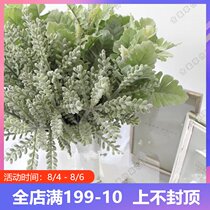 Simulation mini green plant with grass French small fresh floral antler grass rabbit ear leaf home decoration plant wholesale