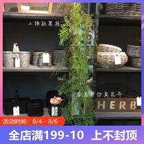 Simulation ferns vines iron wire ferns soft rattan black mango rattan plants winding green plants home decoration engineering collocation