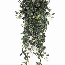 Simulation of green eyebrows and leaves hanging vine 1 5 meters Purple Bamboo Plum hanging ceiling plant engineering soft decoration landscape