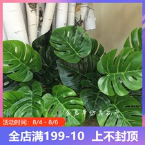 Simulation green plant turtle back leaf bouquet plant wall with leaf silk flower arrangement with home furnishings Green leaf direct sales