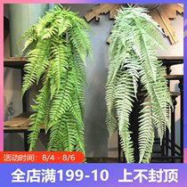 Simulation big fern grass fern leaf fern Engineering landscaping green plant wall-mounted hotel soft green plant Wedding decoration vine