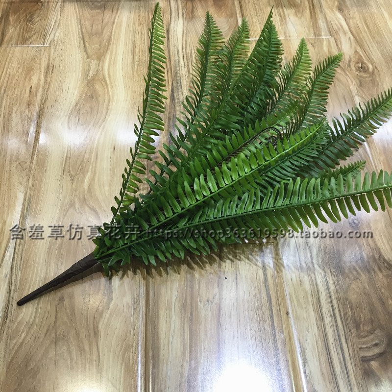 Mô phỏng dương xỉ Cỏ Ba Tư cỏ dương xỉ hàng cỏ cây tường vật liệu núi mái hiên cắm hoa trang trí cỏ núi - Hoa nhân tạo / Cây / Trái cây hoa ly giả