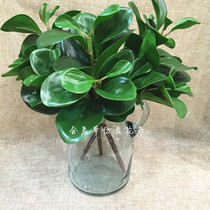 Simulation green planting upscale hand feel green and leafy green plant to hold floral matching material table potted decoration matching