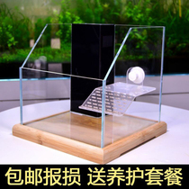 Jijingjia aquarium ecological turtle tank Turtle tank with drying table glass tank Office small mini turtle tank