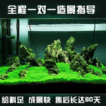 Jijingjia aquarium Real water plant landscaping package Fish tank landscaping decoration Water plant mud sinking wood landscaping stone