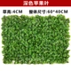 Mô phỏng thực vật tường màu xanh lá cây trang trí tường trang trí phòng khách nội thất nền hoa tường màu xanh lá cây treo tường nhựa giả cỏ ban công - Hoa nhân tạo / Cây / Trái cây