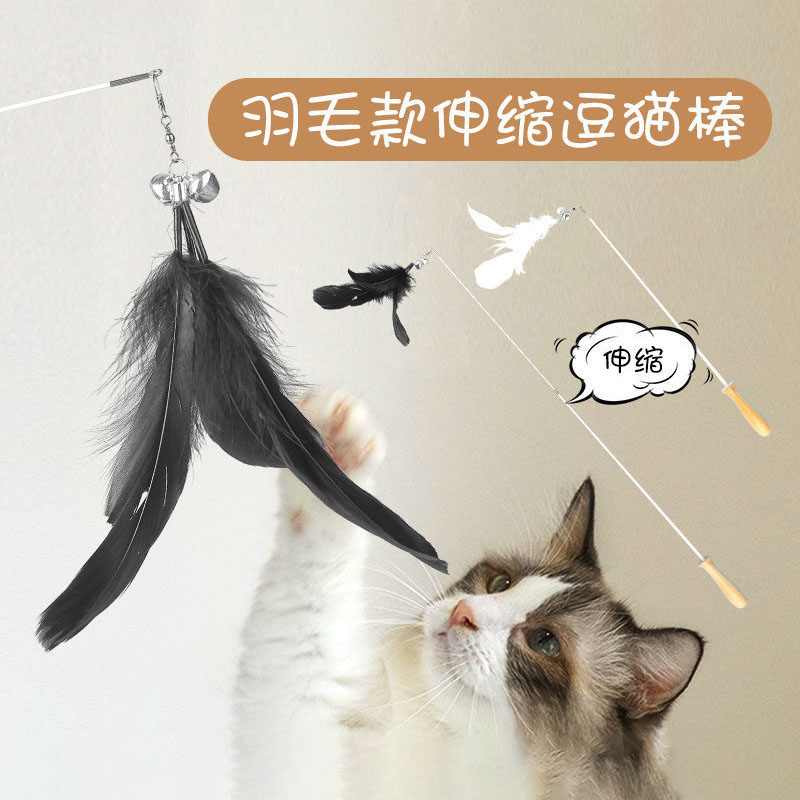 Funny cat stick feather bell retractable with replacement head set long rod solid wood handle cat self-healing toy